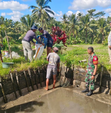Gianyar Intensifkan Pengembangan Tiga Komoditas Unggulan Perikanan Budi Daya