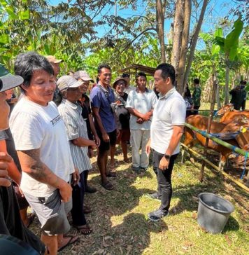 Jembrana Targetkan Jadi Sentra Ternak Kambing di Bali