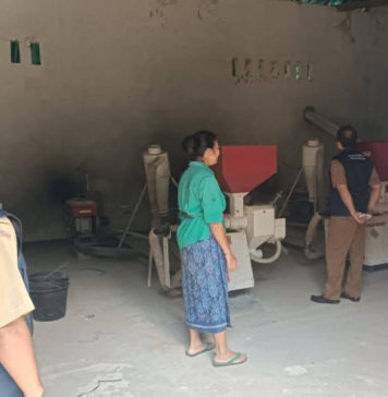 Lumbung Pangan Masyarakat Bantuan Pusat untuk Petani Beralih Fungsi Jadi Balai Desa hingga TPS3R