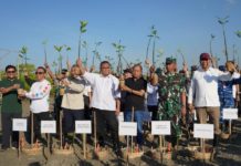 Menteri LH dan Gubernur Koster Tanam Mangrove, Perkuat Bali Hadapi Krisis Iklim