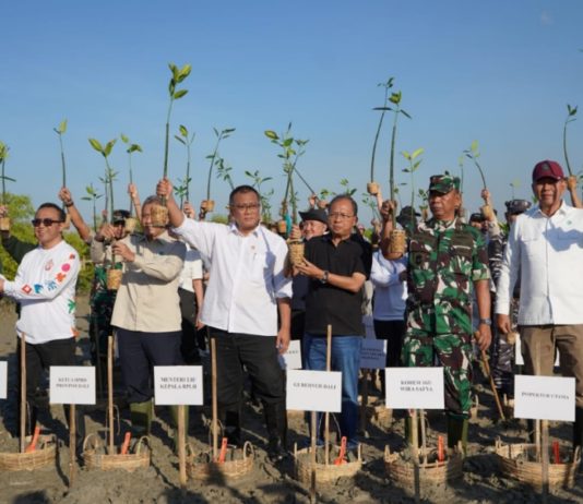 Menteri LH dan Gubernur Koster Tanam Mangrove, Perkuat Bali Hadapi Krisis Iklim