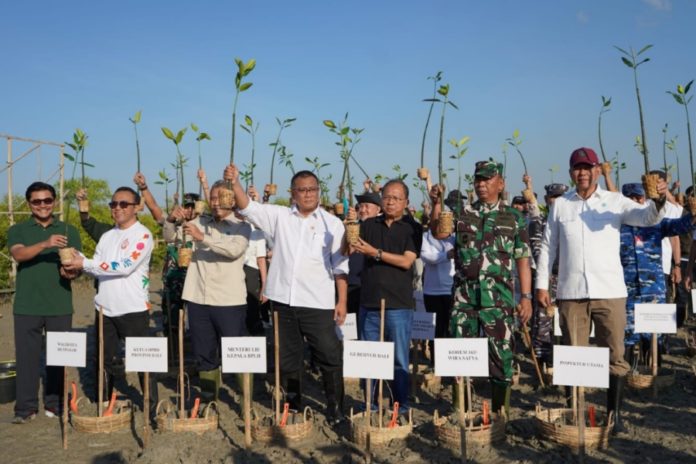 Menteri LH Dan Gubernur Koster Tanam Mangrove, Perkuat Bali Hadapi Krisis Iklim 1