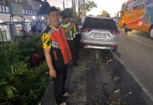 Mobil Tabrak Pohon di Jalan Denpasar-Gilimanuk, Pengemudi dan Penumpang Alami Luka