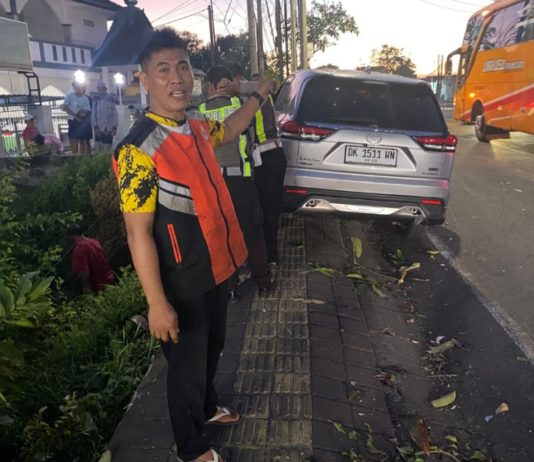 Mobil Tabrak Pohon di Jalan Denpasar-Gilimanuk, Pengemudi dan Penumpang Alami Luka