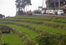 Parkir Terpusat di Jatiluwih Dikebut, Target Rampung 2027