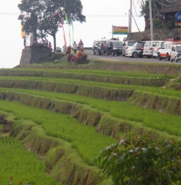 Parkir Terpusat di Jatiluwih Dikebut, Target Rampung 2027