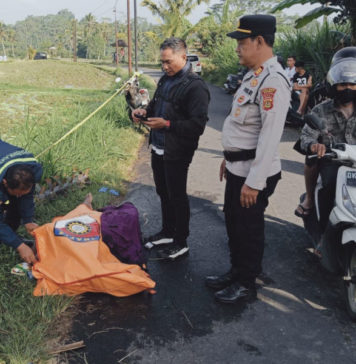 Pengendara Motor Asal Gianyar Ditemukan Meninggal di Sawah