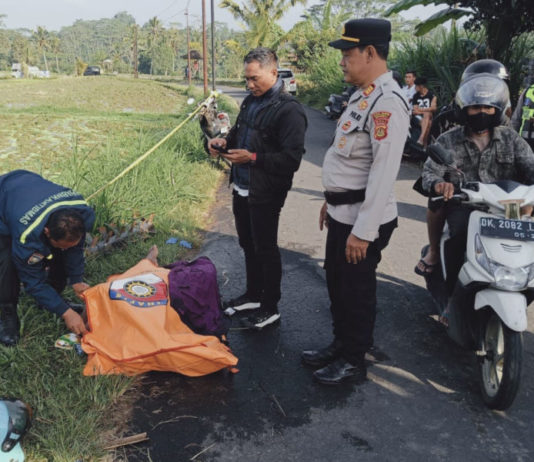 Pengendara Motor Asal Gianyar Ditemukan Meninggal di Sawah