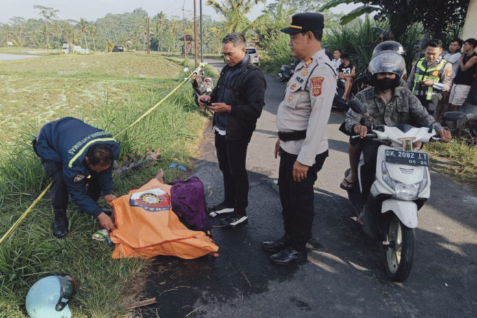 Pengendara Motor Asal Gianyar Ditemukan Meninggal Di Sawah 1