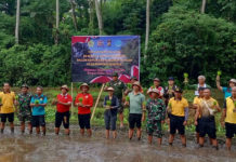 Perkuat Swasembada Pangan, Kodim 1616/Gianyar dan Pemdes Sidan Tanam Padi Organik di Subak Labak
