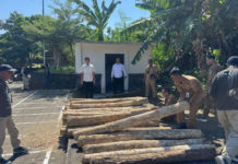 Polres Jembrana Amankan 34 Gelondong Kayu Jati di Melaya