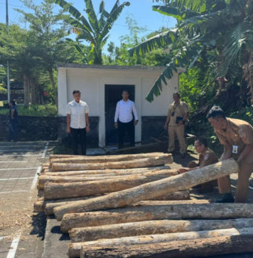 Polres Jembrana Amankan 34 Gelondong Kayu Jati di Melaya