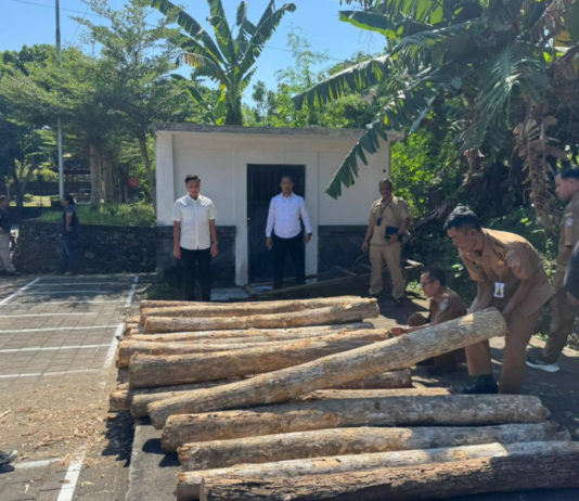 Polres Jembrana Amankan 34 Gelondong Kayu Jati di Melaya