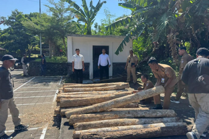 Polres Jembrana Amankan 34 Gelondong Kayu Jati Di Melaya 1