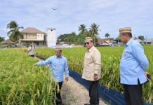 Prabowo Targetkan Indonesia Jadi Lumbung Pangan Dunia