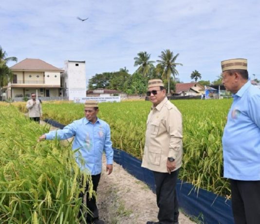 Prabowo Targetkan Indonesia Jadi Lumbung Pangan Dunia