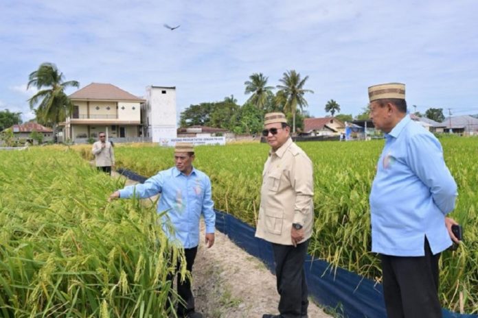Prabowo Targetkan Indonesia Jadi Lumbung Pangan Dunia 1