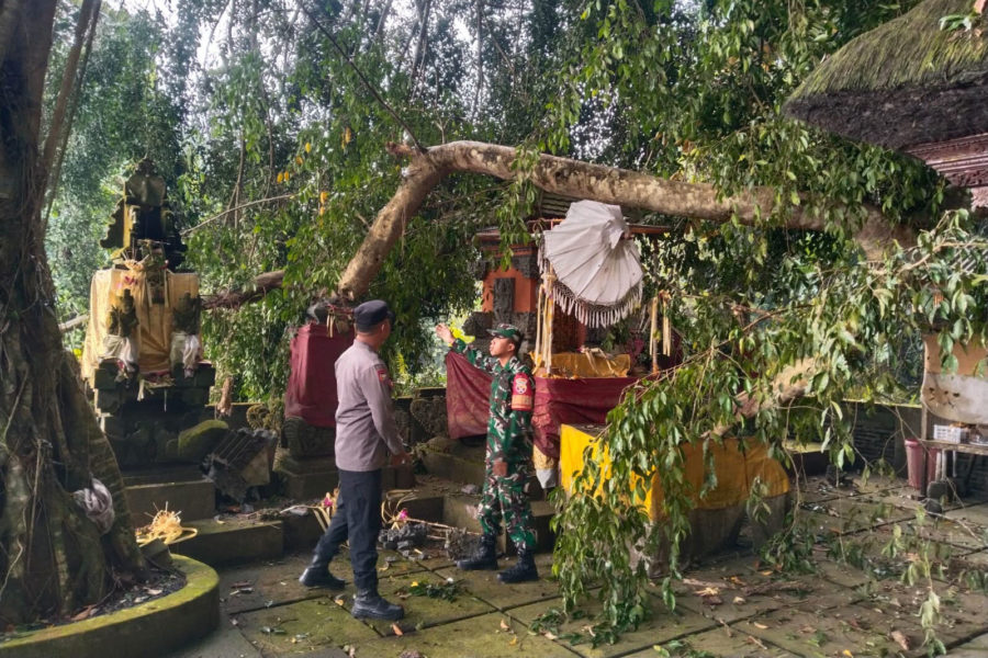 Ranting Pohon Beringin Patah Timpa Pelinggih Pura Dalem Pingit ...