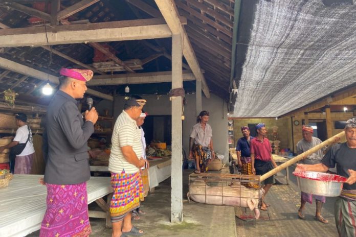 Ringankan Beban Upacara Warga, Pemdes Tulikup Salurkan Punia Babi Ke 11 Pura 1