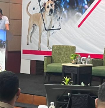 SMACC Global Summit 2026 Dorong Perang Lawan Konten Kekerasan Hewan di Dunia Maya