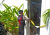 Tempat Massage di Pererenan Dirusak OTK, Pintu Kaca Pecah