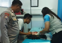 Temuan Bayi dengan Mulut Dilakban Gegerkan Warga Pemecutan