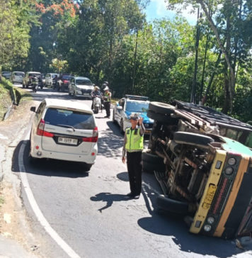 Truk Pupuk Sekam Terguling di Jalur Penelokan