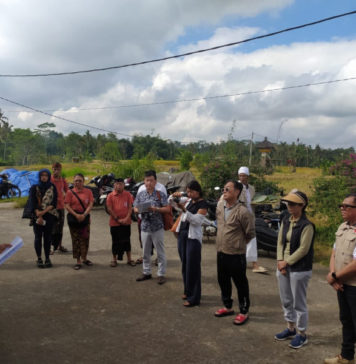 Varietas Padi Lokal Unik Subak Timbul Gianyar Dilirik Pasar Jepang