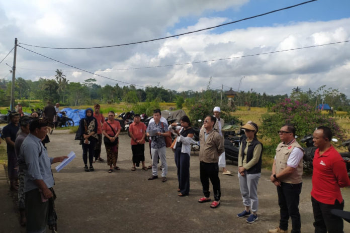 Varietas Padi Lokal Unik Subak Timbul Gianyar Dilirik Pasar Jepang 1