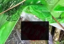 Alat Kontrasepsi Berserakan di Sekitar Lapangan Werdi Yowana, Patroli Lintas Instansi Digiatkan