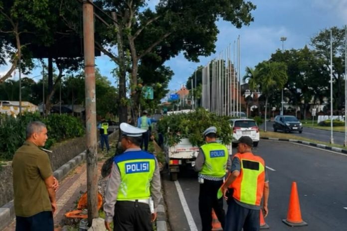 Angin Kencang, Polres Bandara Ngurah Rai Imbau Masyarakat Waspadai Pohon Tumbang 1