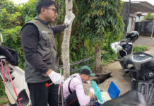 Anjing yang Gigit Tiga Warga Positif Rabies