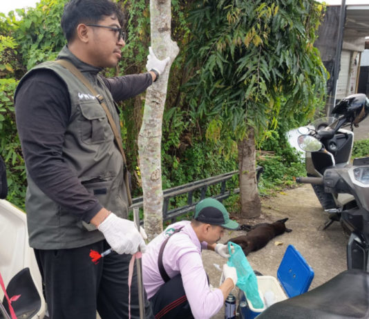 Anjing yang Gigit Tiga Warga Positif Rabies