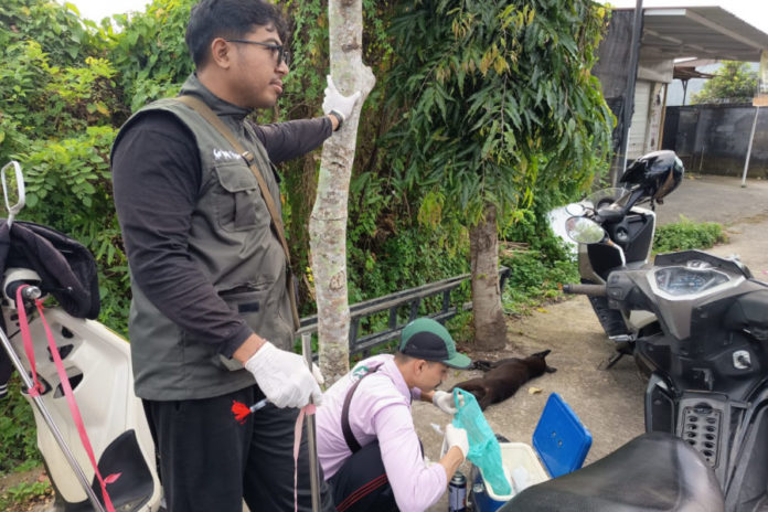Anjing Yang Gigit Tiga Warga Positif Rabies 1