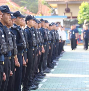 Awasi WNA hingga Pelosok, Imigrasi Bali Bentuk Satgas Dharma Dewata