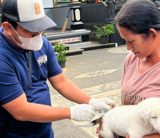 Badung Targetkan 21 Ribu Anjing yang Belum Tervaksin