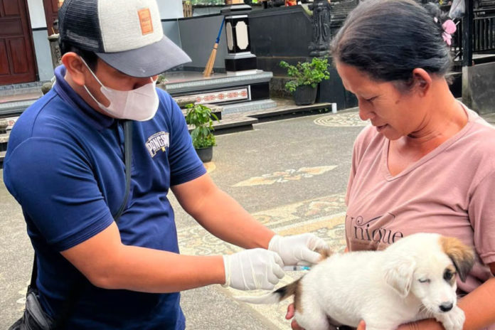 Badung Targetkan 21 Ribu Anjing Yang Belum Tervaksin 1