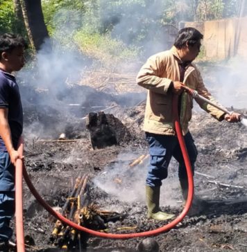 Bakar Sampah, Lahan Seluas 10 Are di Bondalem Hangus