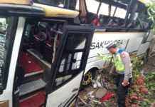 Bus Tabrak Pemotor di Melaya, Satu Orang Luka Berat