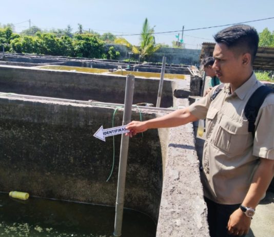 Cari Ikan di Tambak, Dua Bocah Asal Banyupoh Ditemukan Tak Bernyawa