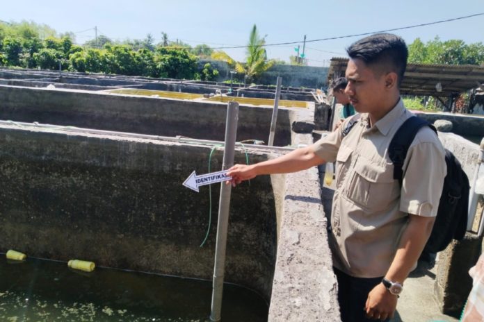 Cari Ikan Di Tambak, Dua Bocah Asal Banyupoh Ditemukan Tak Bernyawa 1