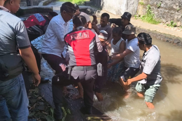 Diduga Epilepsi Kambuh Saat Berkendara, Warga Medahan Gianyar Ditemukan Meninggal Di Aliran Sungai 1