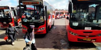 Evaluasi TMD Jangan Lihat Jumlah Penumpang, WRI Ungkap Penghematan Biaya Transportasi Penumpang