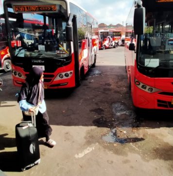 Evaluasi TMD Jangan Lihat Jumlah Penumpang, WRI Ungkap Penghematan Biaya Transportasi Penumpang