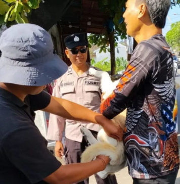 Fondasi Bebas Rabies 2030, Cakupan Vaksinasi Massal HPR Jadi Tolok Ukur Keberhasilan