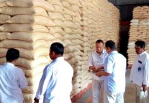 Hingga Juli, Bulog Serap 6.312 Ton Setara Beras di Bali