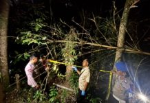 Jatuh dari Pohon Lontar, Pria Asal Seraya Barat Meninggal Alami CKB