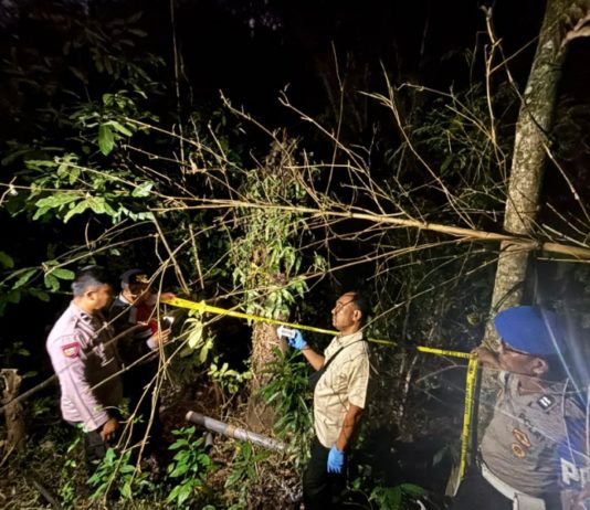 Jatuh dari Pohon Lontar, Pria Asal Seraya Barat Meninggal Alami CKB