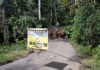 Jembatan Banyucampah-Kebung Putus, PUPR Karangasem Hitung Anggaran Perbaikan