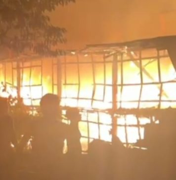 Kandang di Sidemen Terbakar, Puluhan Ribu Ayam Mati Terpanggang